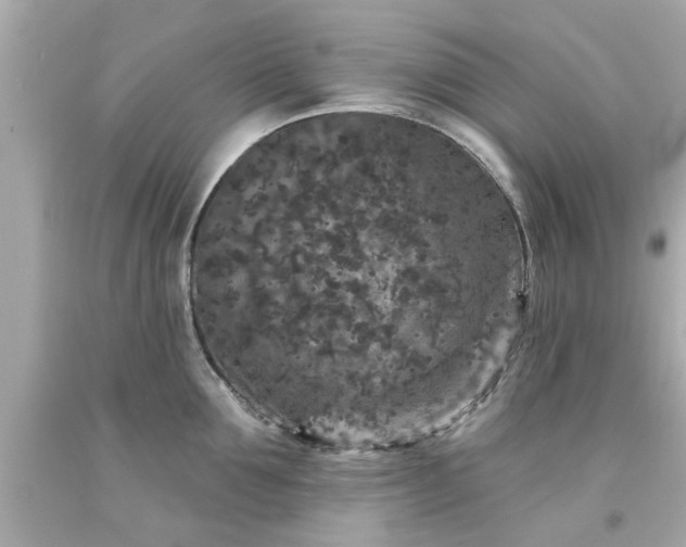 X0000094170907200711020938