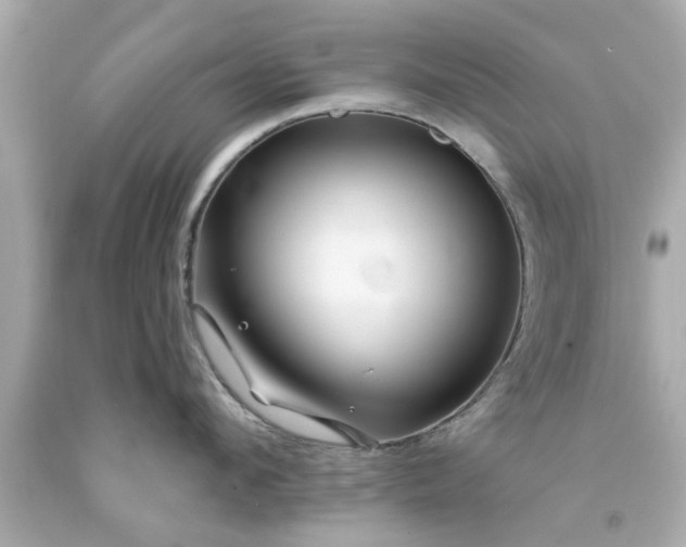 X0000094170912200711020938