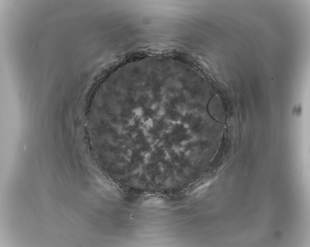 X0000094170913200711020937
