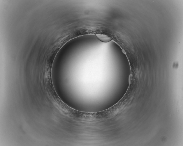X0000094170914200711020937