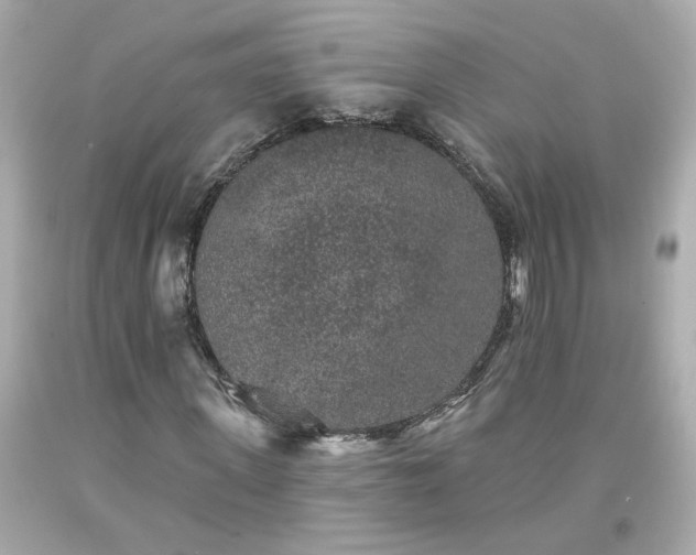X0000094170915200711020937