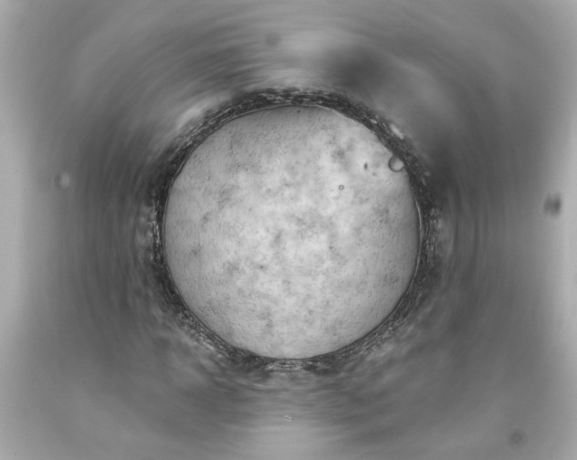 X0000094170918200711020937