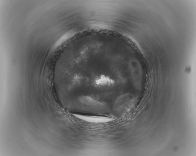 X0000094170919200711020937