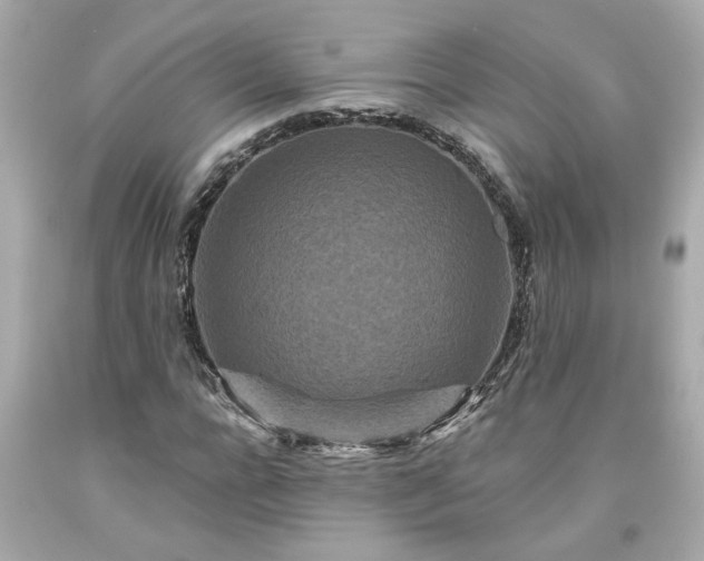 X0000094170920200711020937