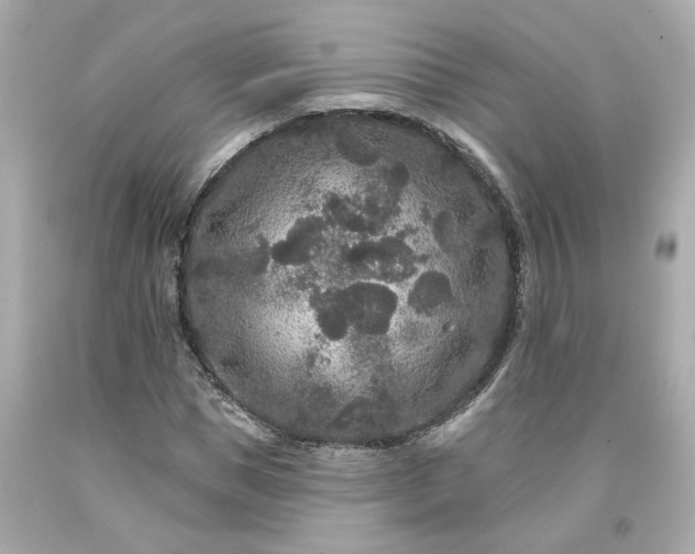 X0000094170921200711020937