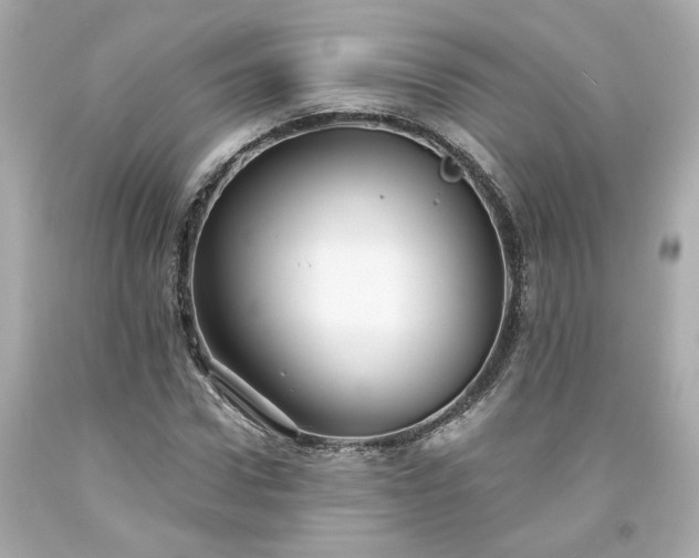 X0000094170922200711020937