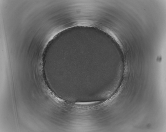X0000094170923200711020937