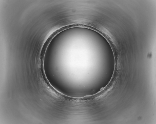 X0000094170924200711020937