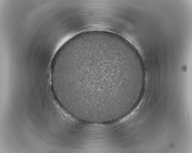 X0000094170925200711020937