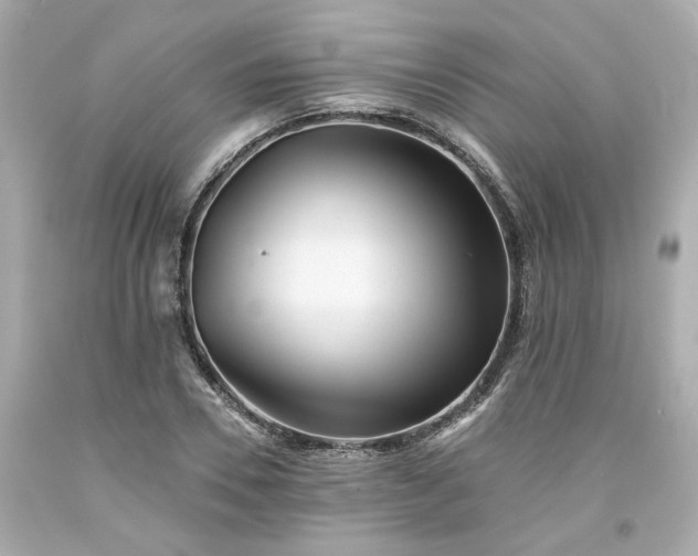 X0000094170930200711020937