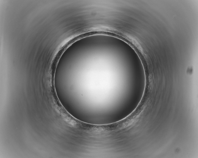 X0000094170931200711020937