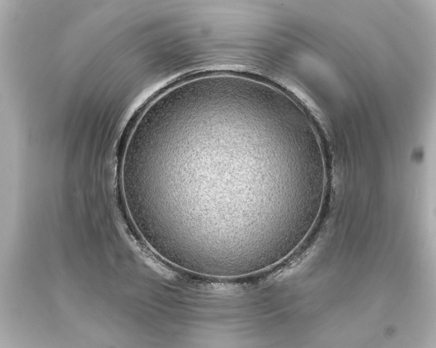 X0000094170933200711020937