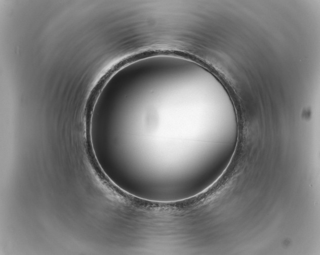 X0000094170934200711020937