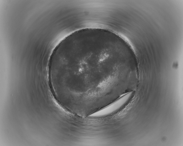 X0000094170935200711020937