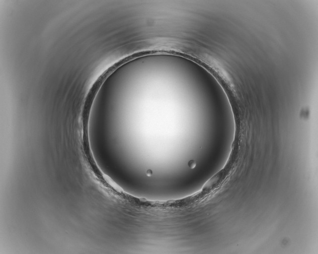 X0000094170936200711020937
