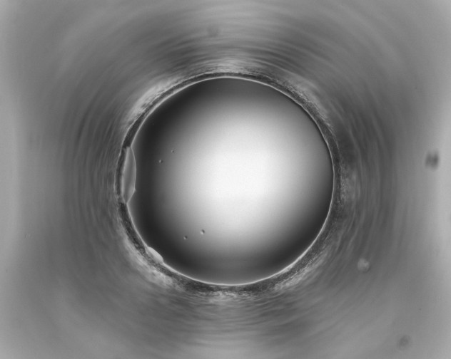 X0000094170938200711020937