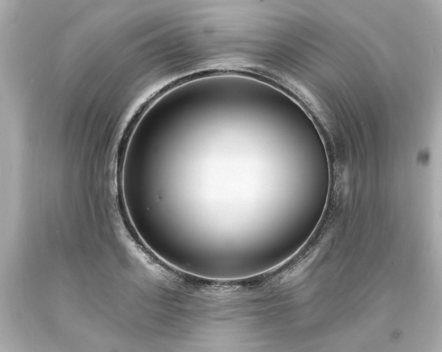 X0000094170939200711020937