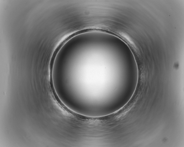 X0000094170940200711020937
