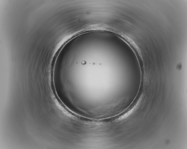 X0000094170941200711020937
