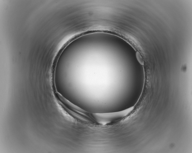 X0000094170942200711020937