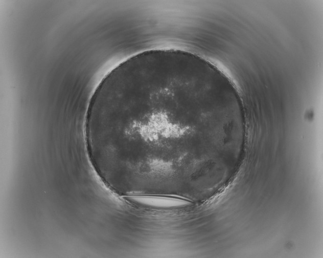 X0000094170943200711020937