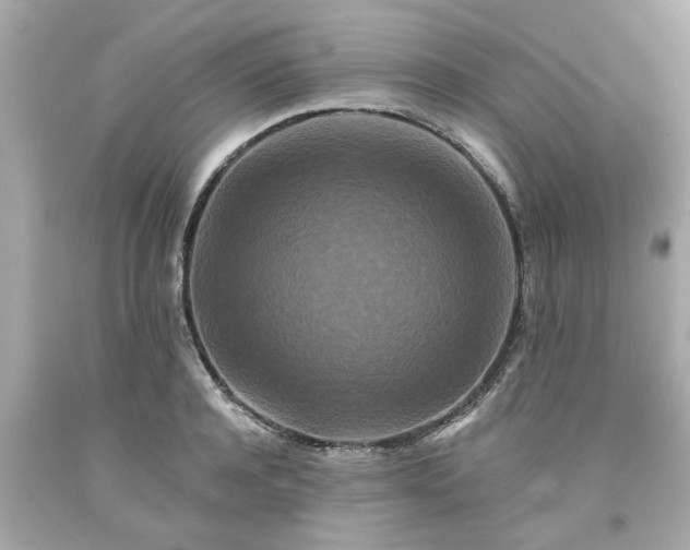 X0000094170944200711020937
