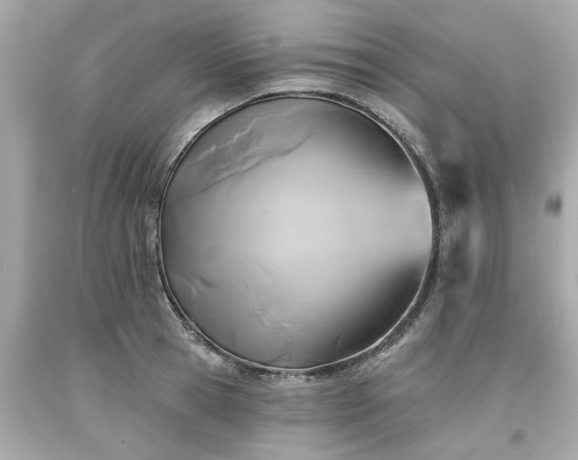 X0000094170945200711020937