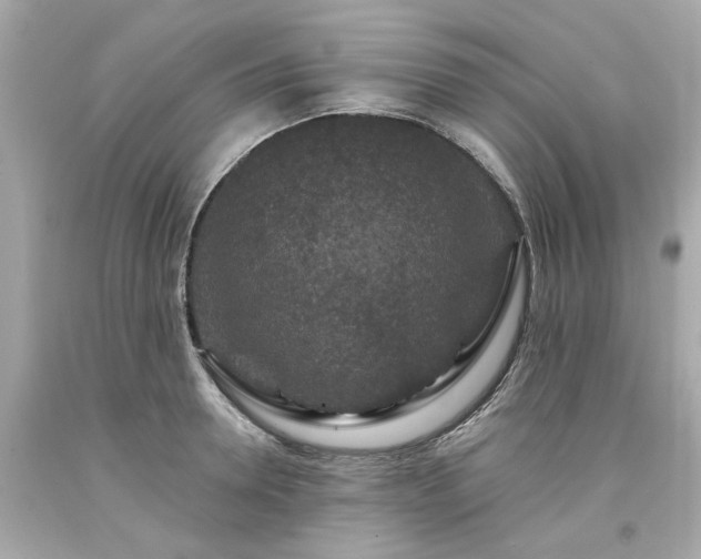 X0000094170946200711020937