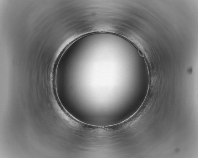 X0000094170947200711020938