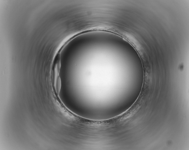 X0000094170948200711020938