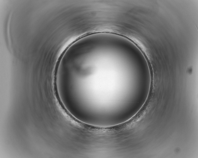 X0000094170949200711020938