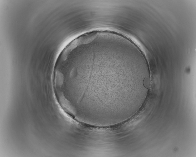 X0000094170951200711020938