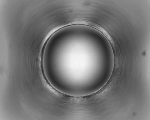X0000094170955200711020938