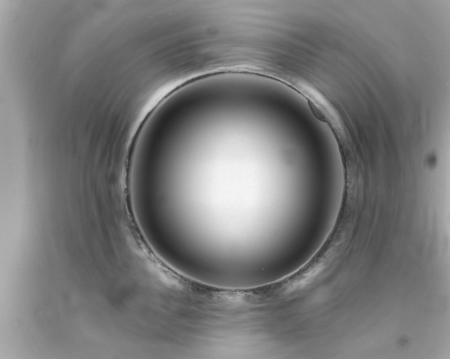X0000094170956200711020938