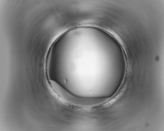 X0000094170957200711020938