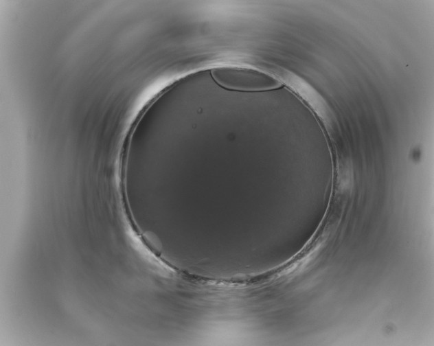 X0000094170958200711020938
