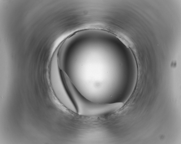X0000094170960200711020938