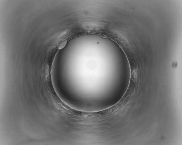 X0000094170963200711020937