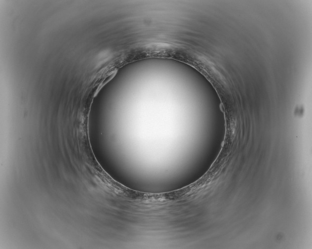 X0000094170964200711020937