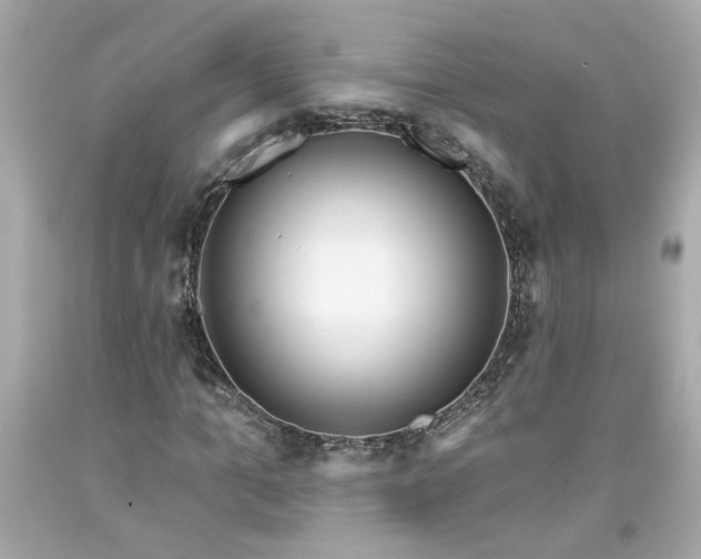 X0000094170965200711020937