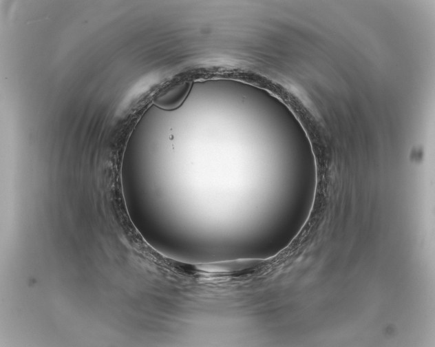 X0000094170967200711020937