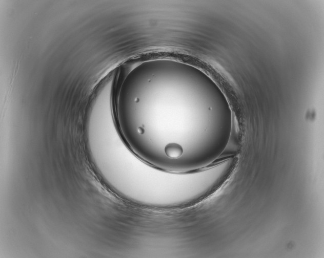X0000094170969200711020937