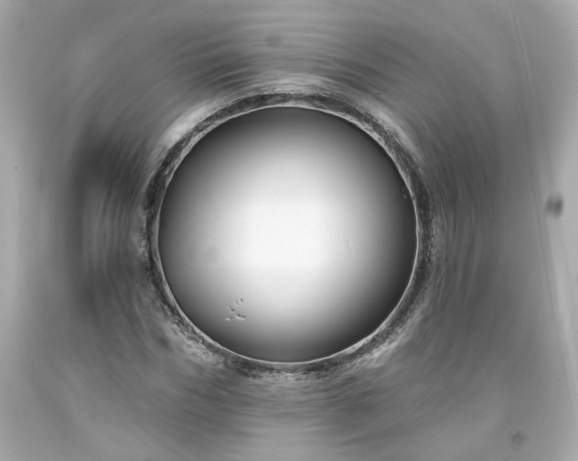 X0000094170970200711020937