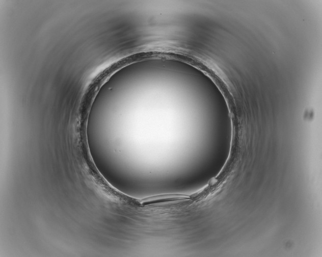 X0000094170971200711020937