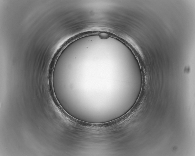 X0000094170972200711020937
