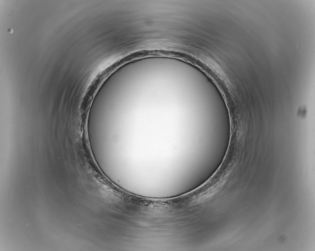X0000094170974200711020937