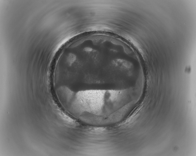 X0000094170975200711020937