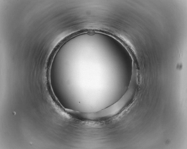 X0000094170976200711020937