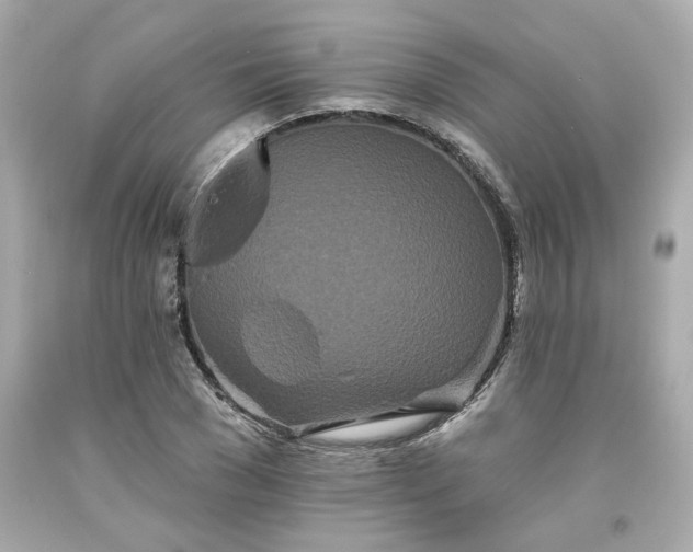 X0000094170977200711020937