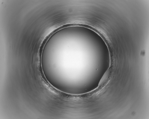 X0000094170982200711020937